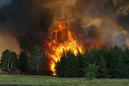 В Ингушетии сохраняется высокая пожарная опасность