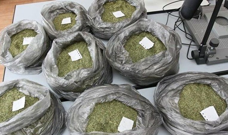 Более 20 кг марихуаны изъято у жителя Ингушетии