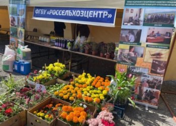 В Малгобеке Ингушетии пройдет очередная сельскохозяйственная ярмарка