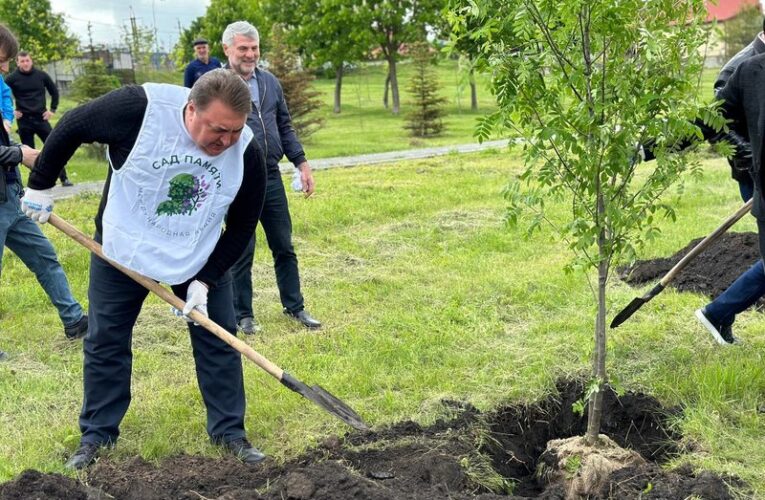 В Назрани в память о павших в годы ВОВ высадили 150 молодых деревьев