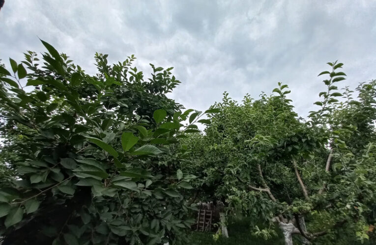 Жители Ингушетии проявляют все больше интереса к работе с землей